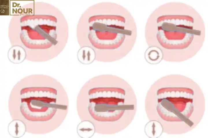 اسنان الاطفال ونصائح للعناية بها 2 طرق تنظيف الأسنان الصحيحة للاطفال بالصور